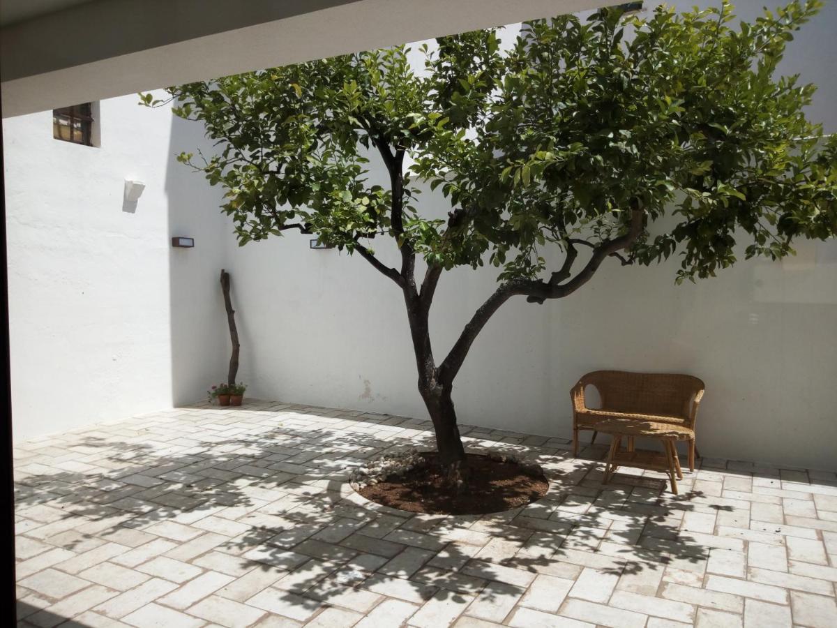 Bed and Breakfast Cortile Calinea Кастриньяно-дель-Капо Экстерьер фото
